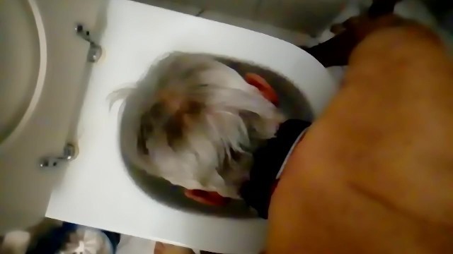 Kocalos - Pissing on my WC slave